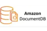 Amazom-document-DB